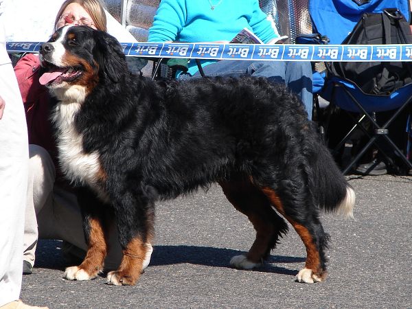 Gigantic postoj3 