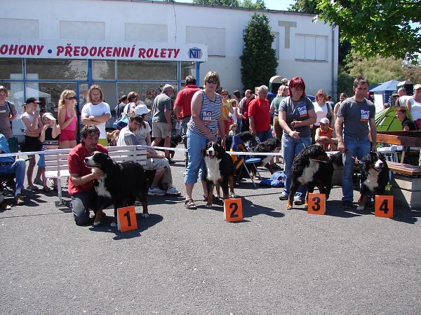 tř otevřená pořadí feny 