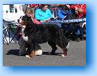 Gigantic postoj1 