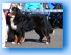 Gigantic postoj3 