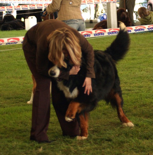 img00021.jpg