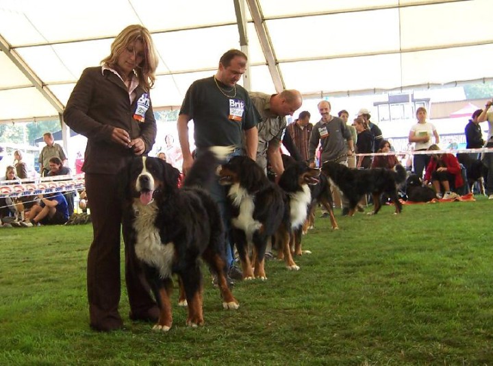 img00025.jpg