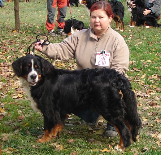 BSP - Aerin Záře dém. 