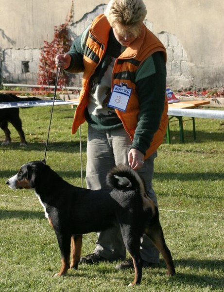 KV SKŠSP Veľký Meder 13.10.2007