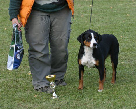 KV SKŠSP Veľký Meder 13.10.2007