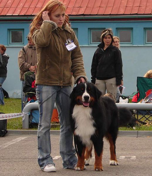 CH_Christof_Top-Berner 