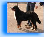 Issabell_postoj_1 