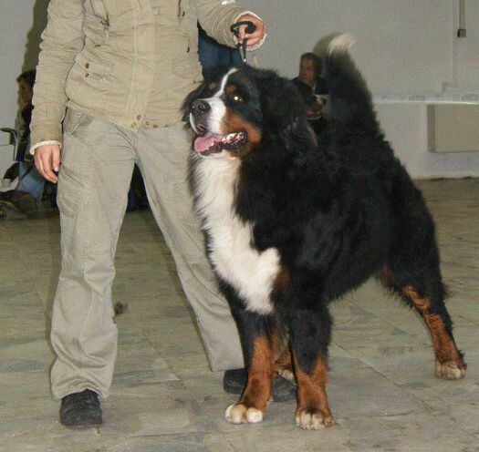 Ganty postoj1 