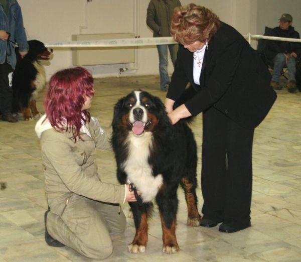 Ganty postoj6 