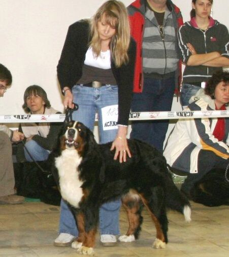 Issabell 