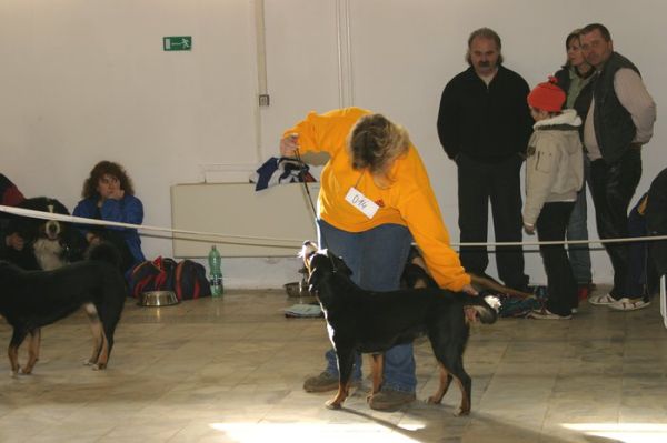 Tessa v kruhu 