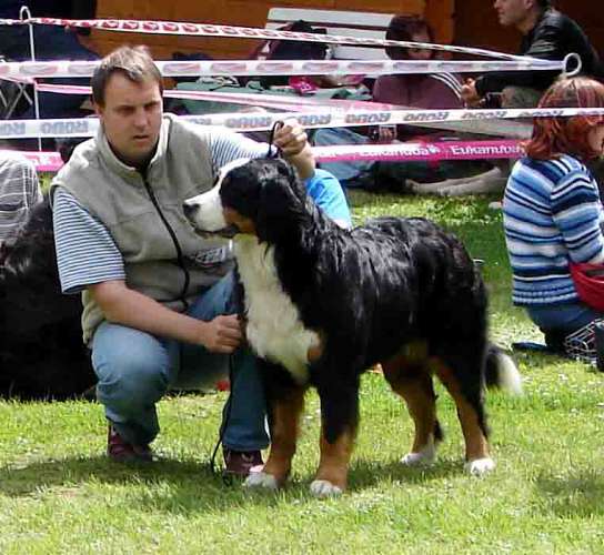 Darcy z Ochoze - postoj 