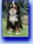 Libra Lamia Mater - CACIB 
