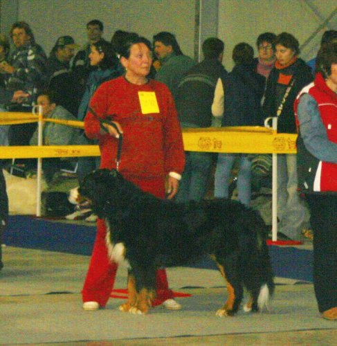 Cyrus v kruhu 