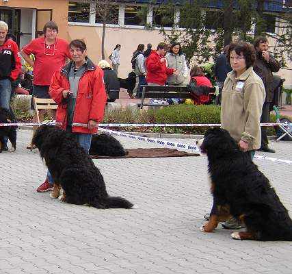esk Budjovice 04/2005