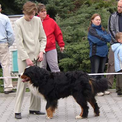 esk Budjovice 04/2005
