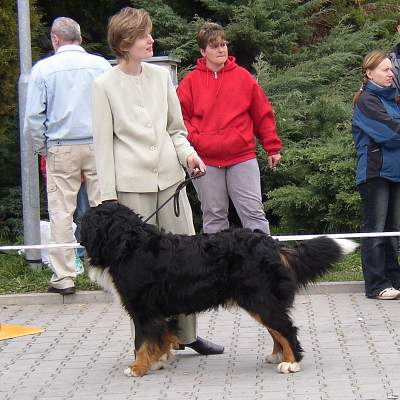 esk Budjovice 04/2005