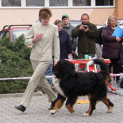 esk Budjovice 04/2005