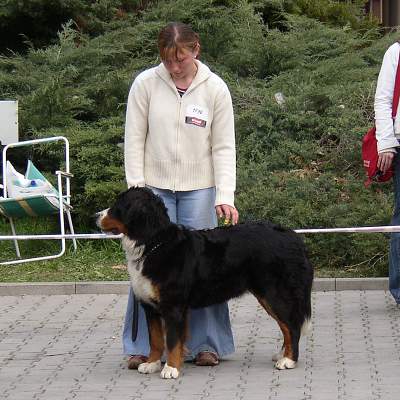 esk Budjovice 04/2005