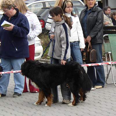 esk Budjovice 04/2005