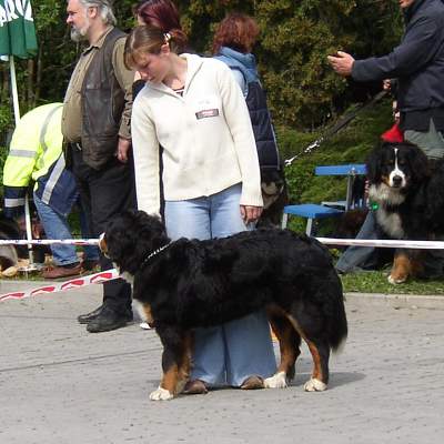 esk Budjovice 04/2005