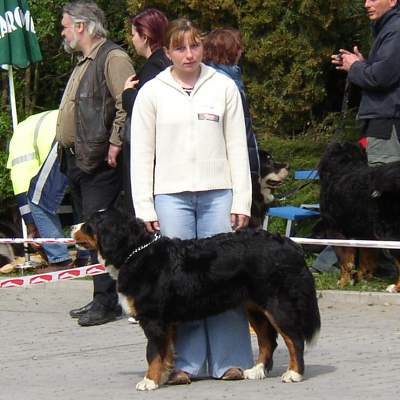esk Budjovice 04/2005