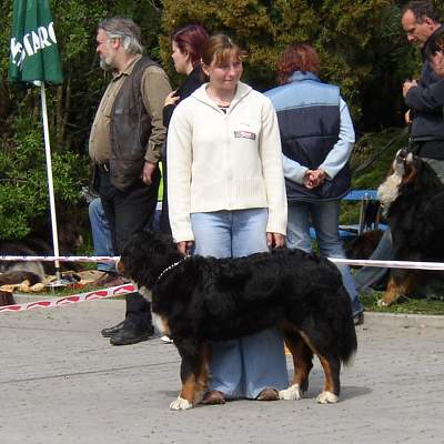 esk Budjovice 04/2005