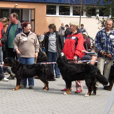 esk Budjovice 04/2005