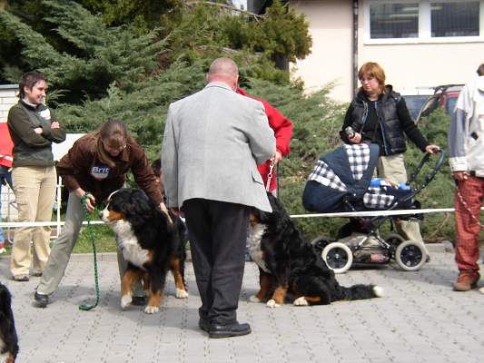 esk Budjovice 04/2005