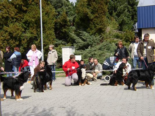 esk Budjovice 04/2005