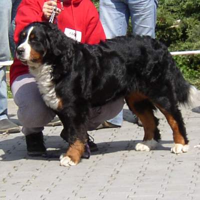 esk Budjovice 04/2005