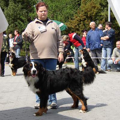 esk Budjovice 04/2005