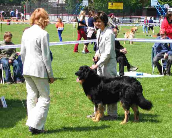 klubov_05_2005 