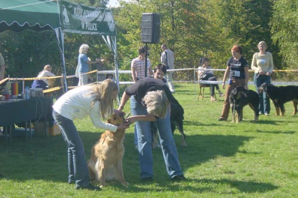 Zaniemyl2009 