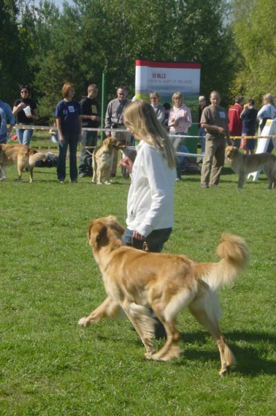 Zaniemyl2010 