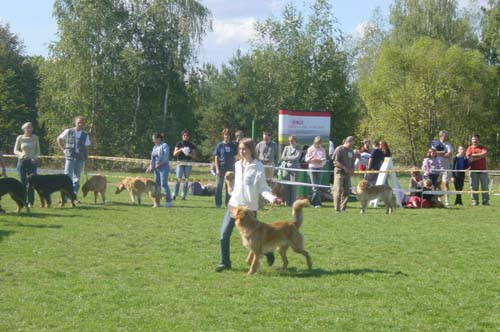 Zaniemyl2011 