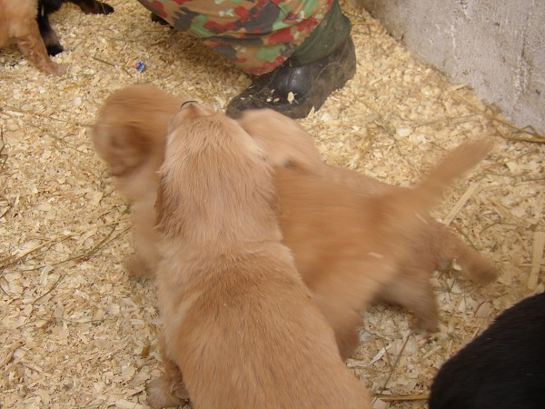 Jsou nm 4 tdny a kousek