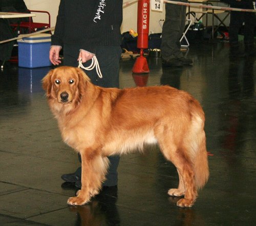 Cairo - kr�sn� postoj 