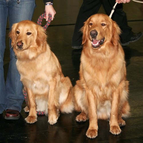 Cairo a Carmen sed�c� 