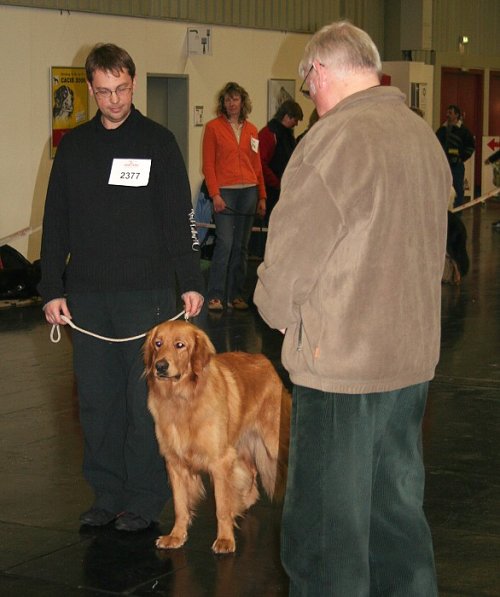 Cairo posuzov�n� 