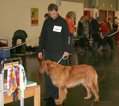 Cairo u v�stavn�ho stolu 