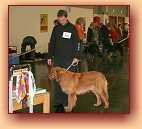 Cairo u v�stavn�ho stolu 