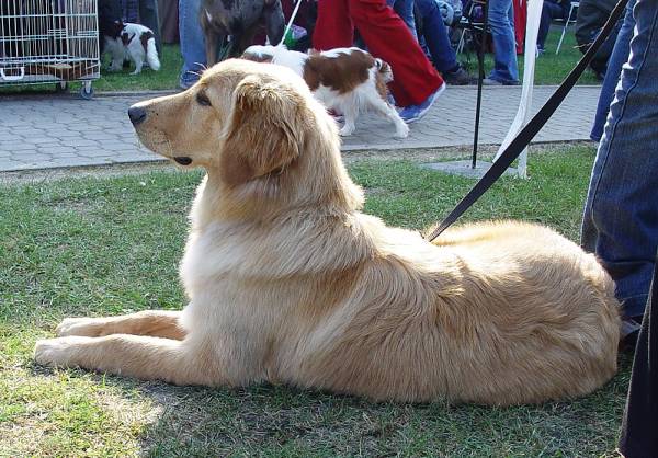 t�. mlad�ch - v�born� 2.