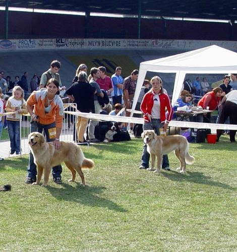 t�. mlad�ch - v�born� 2.