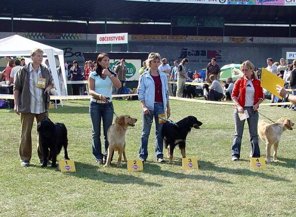 t�. mlad�ch - v�born� 2.