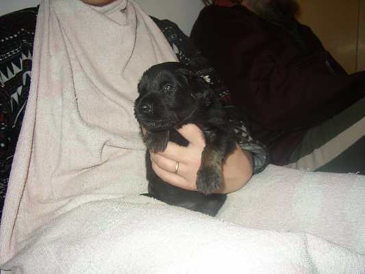 dokrmov�n� - 18 dn�