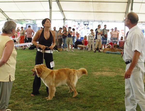 NVP Mladá Boleslav 23.7.2006