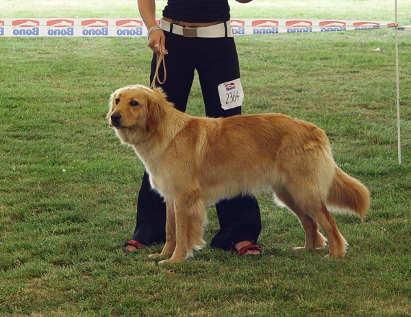 NVP Mladá Boleslav 23.7.2006