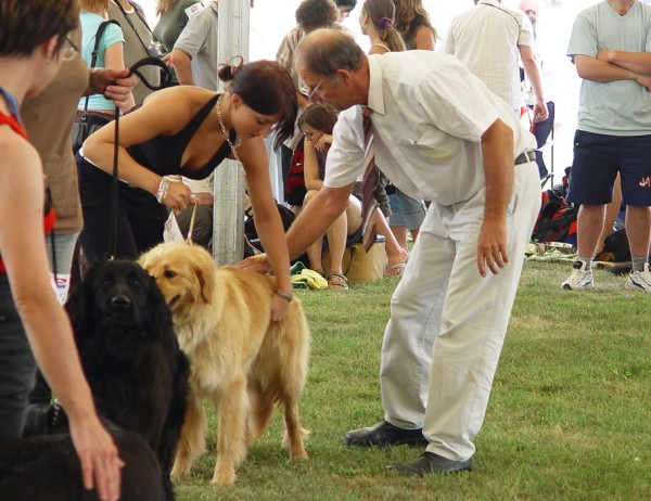 NVP Mladá Boleslav 23.7.2006