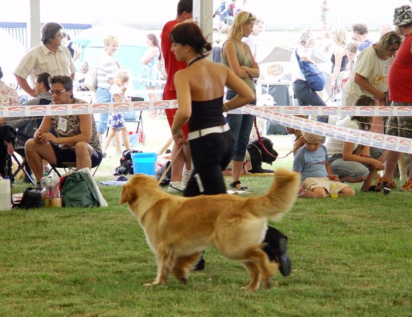 NVP Mladá Boleslav 23.7.2006